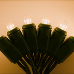 25ft Strand Concave LED Warm White