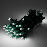 25ft Strand Convex LED White