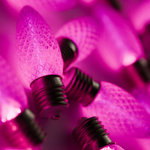 C9 LED Pink