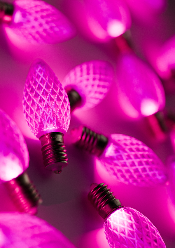 C7 LED Pink