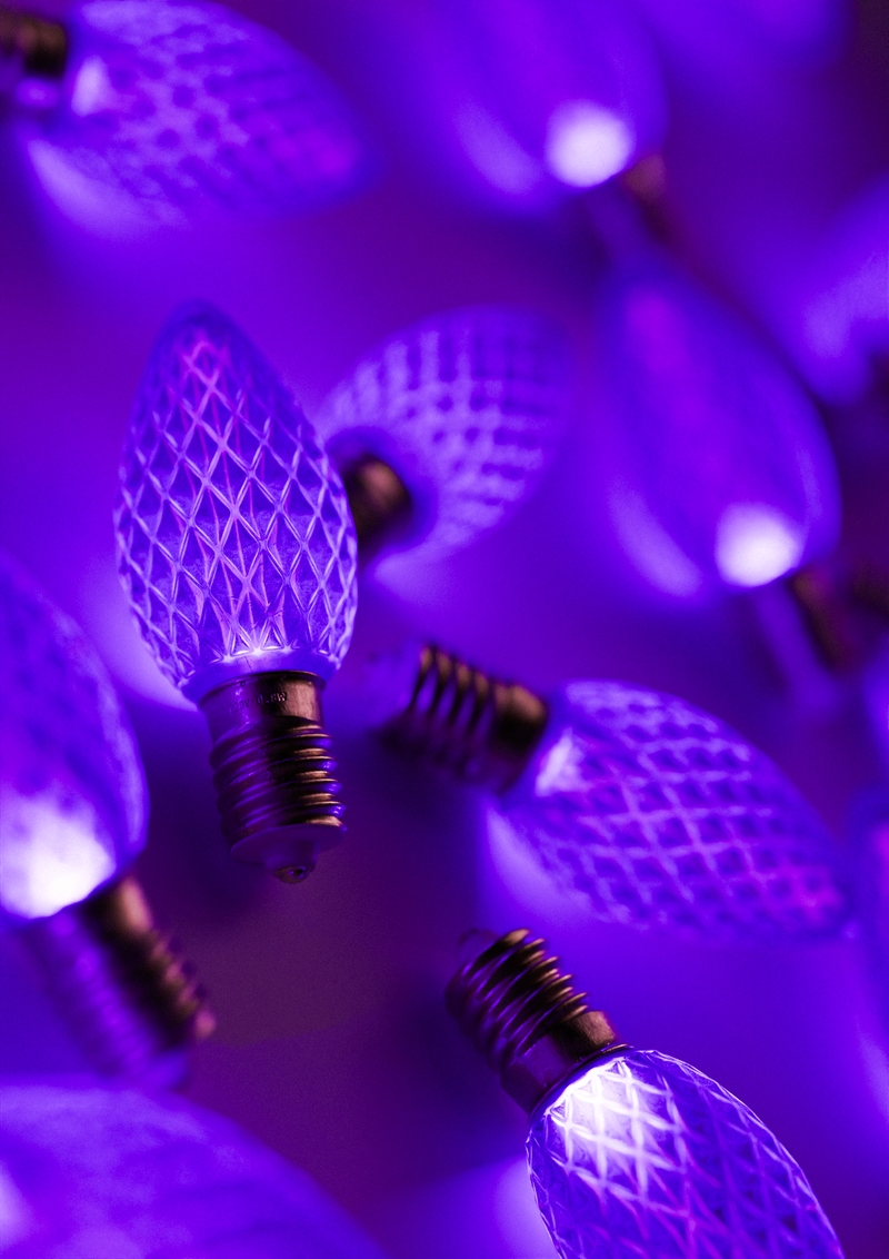 C7 LED Purple
