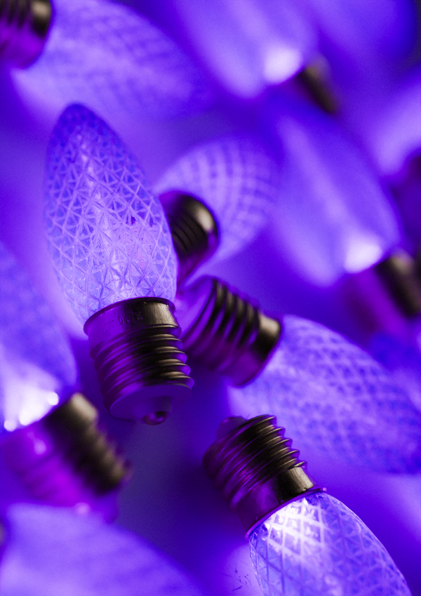 C9 LED Purple