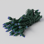 25ft Strand Convex LED Blue