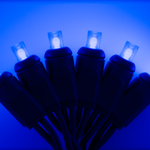 25ft Strand Convex LED Blue