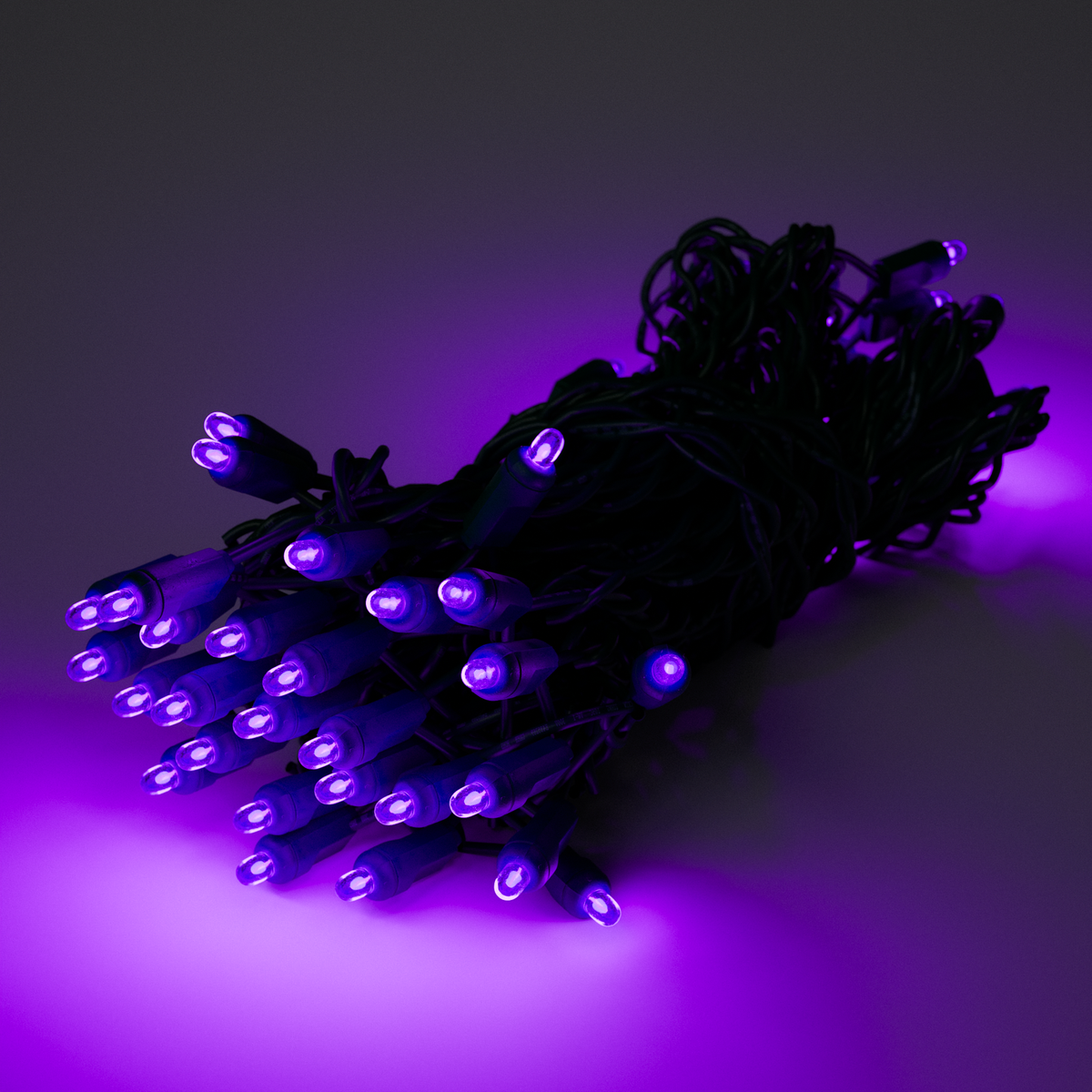 25ft Strand Concave LED Purple