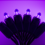 25ft Strand Concave LED Purple
