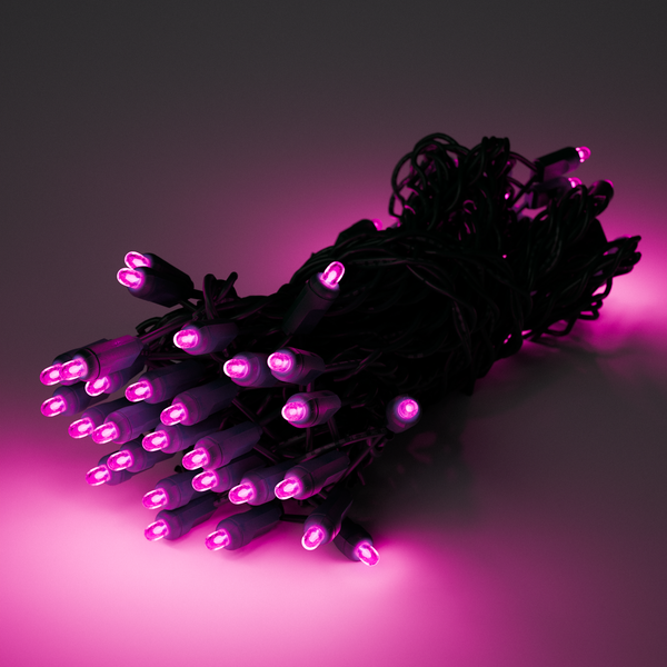 25ft Strand Concave LED Pink