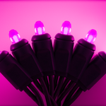 25ft Strand Concave LED Pink