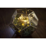 18L LED Battery Fairy Light String, 4in Bulb Spacing