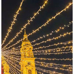 48L 7mm LED Light String, 6in Bulb Spacing