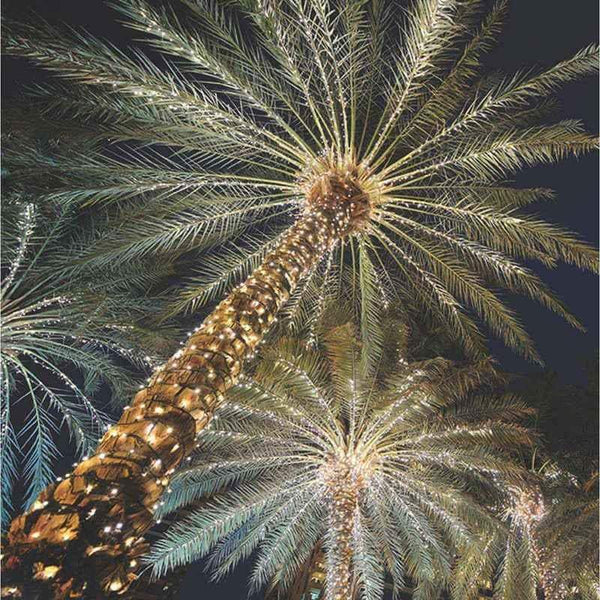 48L 7mm LED Expandable Light String, 4-6in Bulb Spacing