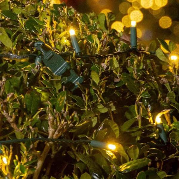 50L 5mm LED Light String, 6in Bulb Spacing, Ball No Tags