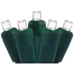 50L 5mm LED Light String, 6in Bulb Spacing
