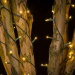 50L 5mm LED Light String, 6in Bulb Spacing