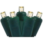 50L 5mm LED Light String, 8in Bulb Spacing