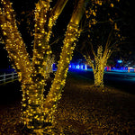 30L 5mm LED Light String, 4in Bulb Spacing
