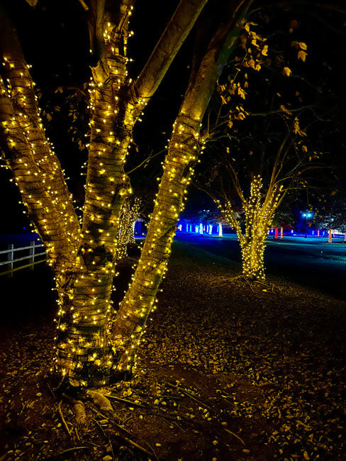 30L 5mm LED Light String, 4in Bulb Spacing