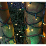 70L 5mm LED Light String, 6in Bulb Spacing