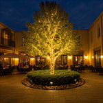 48L 5mm LED Light String, 6in Bulb Spacing