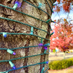 50L 5mm LED Light String, 6in Bulb Spacing