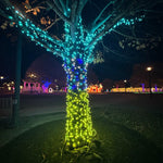 50L 5mm LED Light String, 6in Bulb Spacing