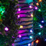 40L 7mm LED Light String, 4in Bulb Spacing